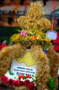 Filename=DSC_0015.jpg
Filesize=312KiB
Dimensions=1067x1600
Date added=Aug 22, 2019 DSC_0015.jpg