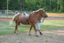 Filename=DSC_5422_28Copy29.jpg
Filesize=488KiB
Dimensions=2048x1365
Date added=Aug 21, 2018 DSC_5422_28Copy29.jpg
