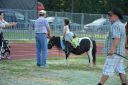 Filename=DSC_5423_28Copy29.jpg
Filesize=456KiB
Dimensions=2048x1365
Date added=Aug 21, 2018 DSC_5423_28Copy29.jpg