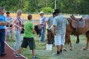 Filename=DSC_5425_28Copy29.jpg
Filesize=514KiB
Dimensions=2048x1365
Date added=Aug 21, 2018 DSC_5425_28Copy29.jpg