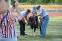 Filename=DSC_5426_28Copy29.jpg
Filesize=435KiB
Dimensions=2048x1365
Date added=Aug 21, 2018 DSC_5426_28Copy29.jpg