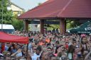Filename=DSC_5585_28Copy29.jpg
Filesize=369KiB
Dimensions=2048x1365
Date added=Aug 21, 2018 DSC_5585_28Copy29.jpg