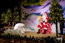 Filename=2022-12-13_00045.jpg
Filesize=458KiB
Dimensions=1600x1066
Date added=Jan 02, 2023 2022-12-13_00045.jpg